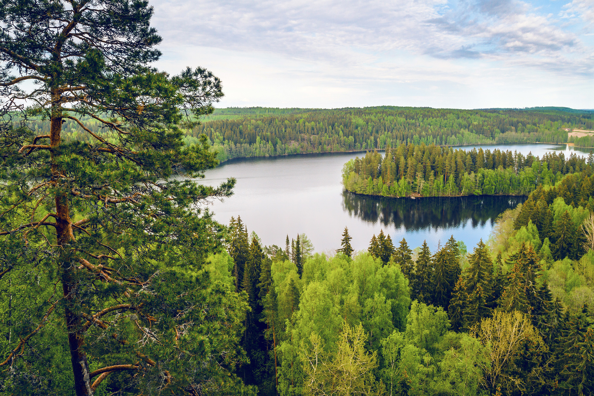 Suomalainen järvimaisema. Kuvituskuva.